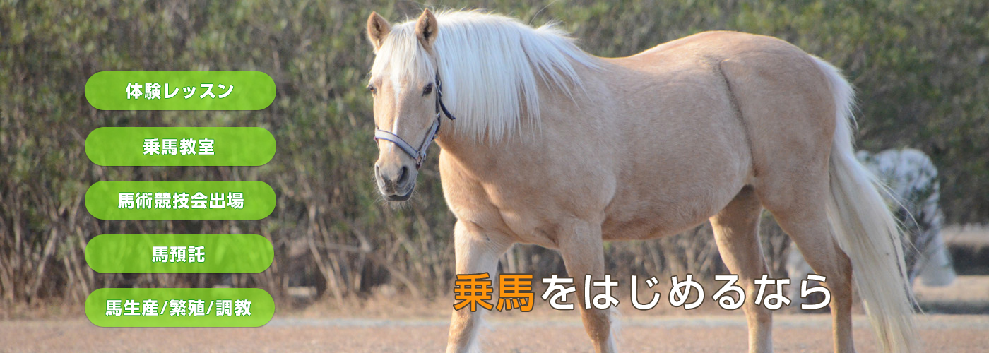 静岡県の乗馬クラブならパロミノ ポニークラブ