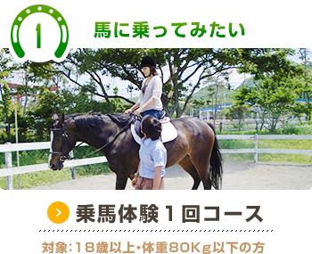 静岡県の乗馬クラブならパロミノ ポニークラブ
